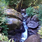 DSCN2414