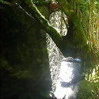 DSCN2409