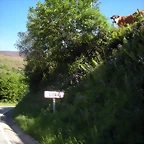 DSCN5088