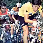 Agostinho-Tour1974-Merckx