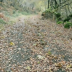 IMG_20231112_165223