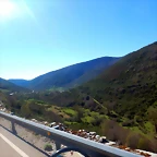 DSCN4550