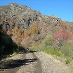 DSCN6829