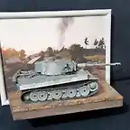 Tiger 1 (34)