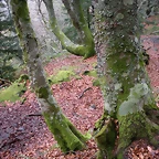 DSCN0756