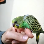 IMG-20190330-WA0013