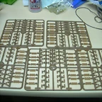DSCN2872