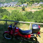 IMG_7716