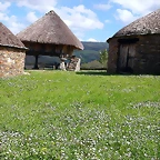 DSCN8973