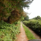 DSCN5325