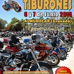 Cartel600-MCTiburones15
