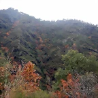 DSCN3094