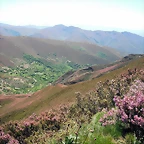 DSCF2575