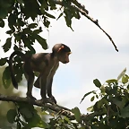 Johannesburg Kruger març 2009 801