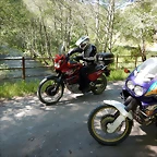 DSCN1173
