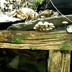 DSCN1140