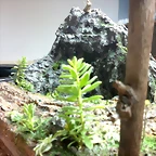 2015-01-30-5452