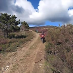 DSCN5004'6