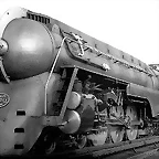 tren skyline