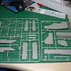 DSCN3054