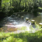 DSCN6620