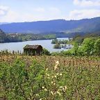 22-Imagen 024