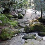 DSCN1703