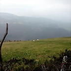 DSCN8150