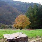 DSCN6260