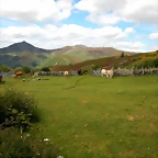 DSCN9313