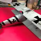 Pfalz 35