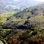DSCN1832