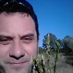 IMG-20160324-WA0033