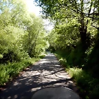 DSCN0794