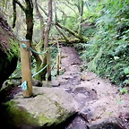DSCN5852