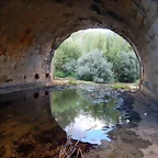 DSCN8064
