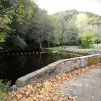 DSCN8276