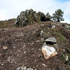 DSCN7668