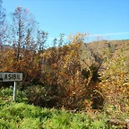 DSCN9173