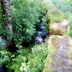 DSCN2326'3