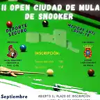 SNOOKER21-1