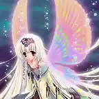 angel de alasa de colores