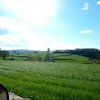 DSCN5270