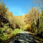DSCN9140