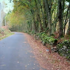 05-IMG_3842