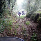 DSCN6822