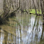 41-IMG_5278