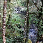 DSCN8448
