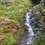 DSCN0778