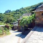 DSCN7779